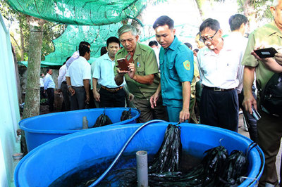 Cần Thơ: Giảm giá nước sạch, góp phần đảm bảo an sinh xã hội 